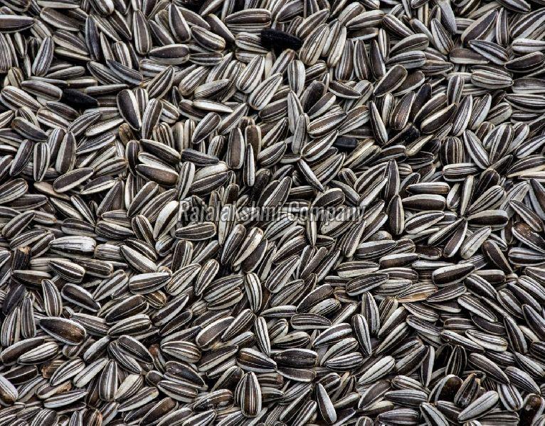 Natural sunflower seeds, for Agriculture, Medicinal, Style : Dried, Raw