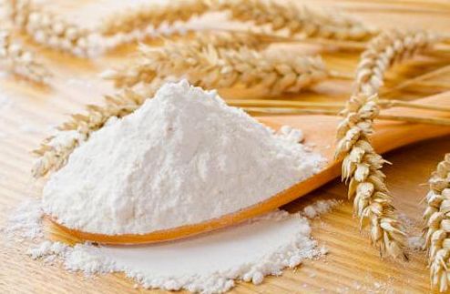 Premium Quality Wheat Flour