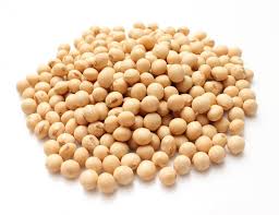 Dried Soybean Seeds