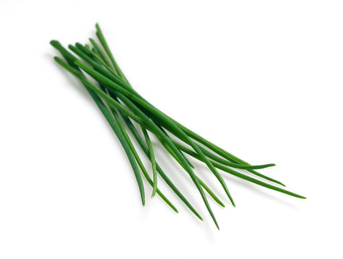 Chives