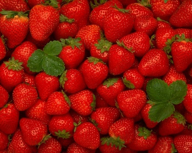 Common strawberry, for Home, Style : Fresh