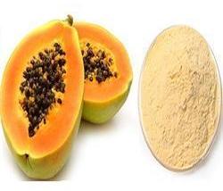 BRISK papaya extract powder, Packaging Type : HDPE Drum