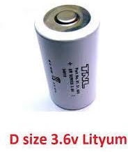 D Size Lithium Battery