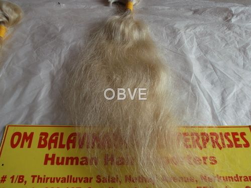 Silky White Human Hair, for Parlour, Personal, Length : 10-20Inch