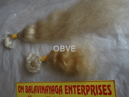 White Curly Human Hair, for Parlour, Personal, Length : 10-20Inch