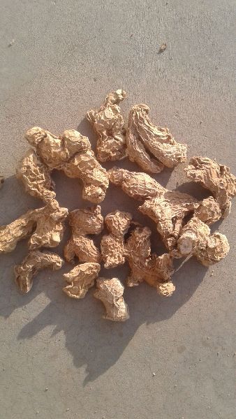 Organic dried ginger, Packaging Type : Gunny Bags, Jute Bags