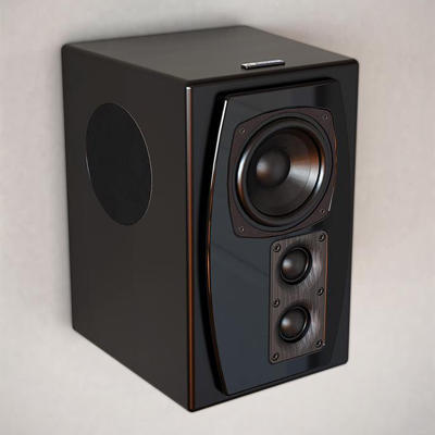 XTZ surround sound speaker, Color : Black