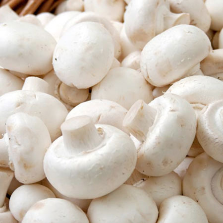 Common Fresh Button Mushroom, for Cooking, Color : White