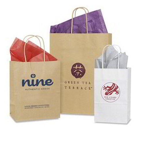 Custom Available Fancy Printed Paper Bags at Best Price in Surat  Kush  Export