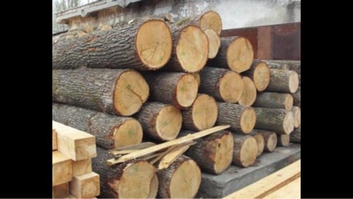 Acacia wood logs, for Veneer, Plywood, Furniture, Jewelry etc.
