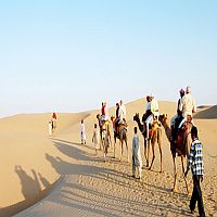 Camel Safari in Desert