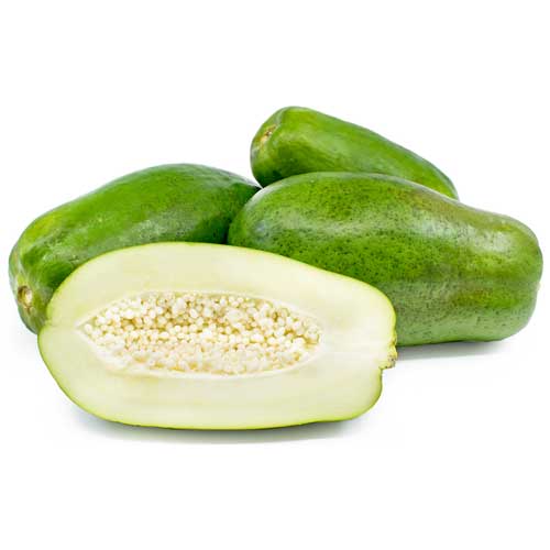 Fresh Green Papaya Buy Fresh Green Papaya in Dhule Maharashtra India from Kali International Fresh Green Papaya Buy Fresh Green Papaya in Dhule Maharashtra India from Kali International