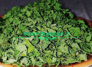 Natural Green Fenugreek Leaves