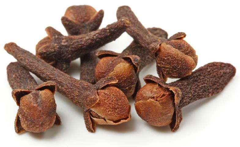 Clove Pods