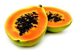 Navchetana Kendra Papaya Fruit Extract, Packaging Type : Pouch