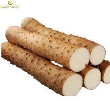 Wild Yam Extract, Packaging Size : 200 Gram