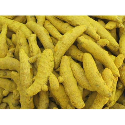 Turmeric Finger Buy Turmeric Finger For Best Price At Inr Inr