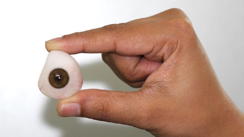 Medical Graded Acrylic Artificial Eye, for Clinic, Hospital