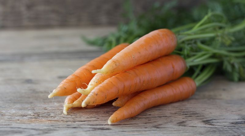 Natural Fresh Carrot, for Food, Juice, Pickle, Snacks, Packaging Type : Jute Sack, PP Bags