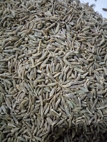 Maha Shakti cumin seeds, for Packet, Packaging Size : 1 Kg