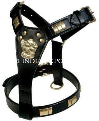 Leather Dog Harness with Brass Fittings, Size : One Size