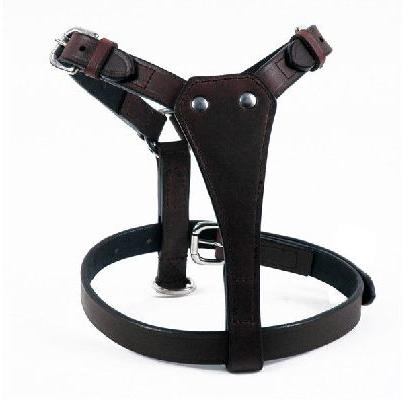Leather Dog Harness with Chrome Fittings