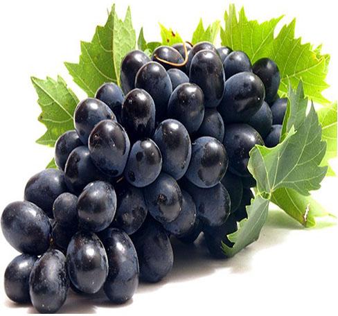 Organic Fresh Black Grapes, Packaging Size : 1kg, 5kg, 10 kg, 6 kg, 12 kg, 50 kg bags