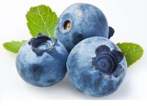 Organic Fresh Blueberry, for Making Juice, Taste : Juicy