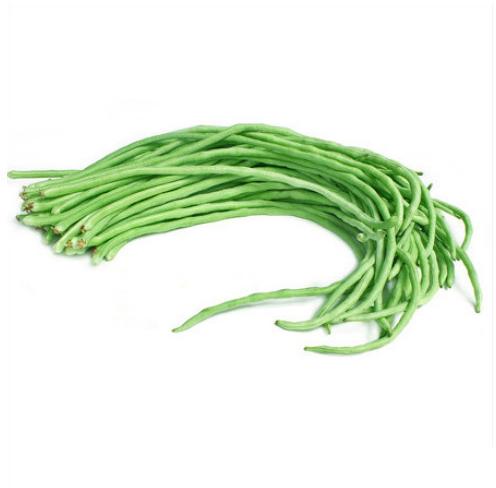 Organic Fresh Long Beans, Shelf Life : 7-10Days