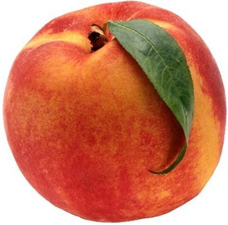 Organic Fresh Peach, Packaging Size : 1kg, 5kg, 10 kg, 6 kg, 12 kg, 50 kg bags