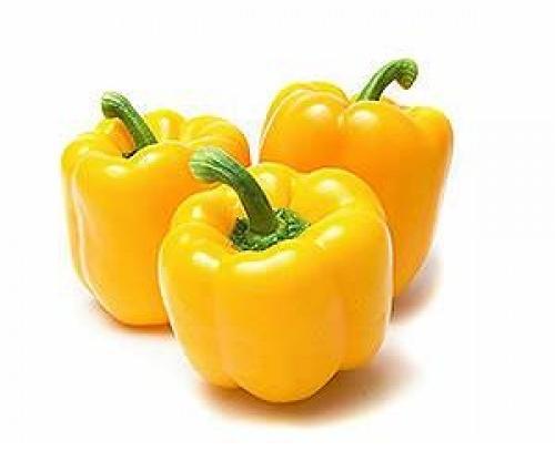 Fresh Yellow Capsicum, Shelf Life : 5-7days