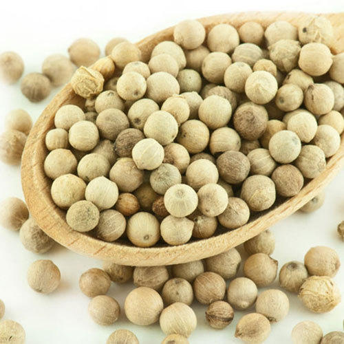 Organic white pepper seeds, for Cooking, Style : Natural