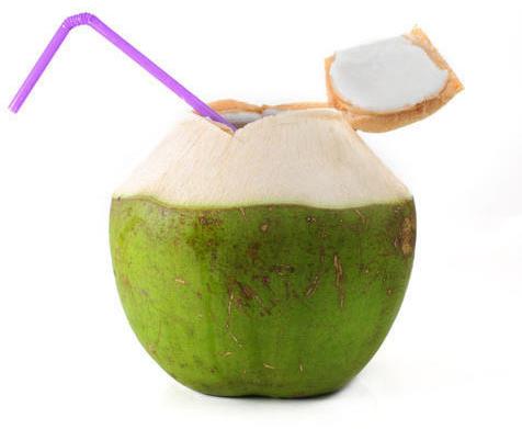 Organic Fresh Tender Coconut, Color : Green