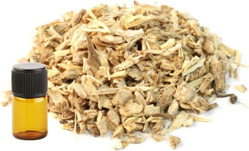 Natural Angelica Root Oil