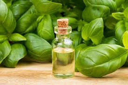 Natural Egyptian Basil Oil