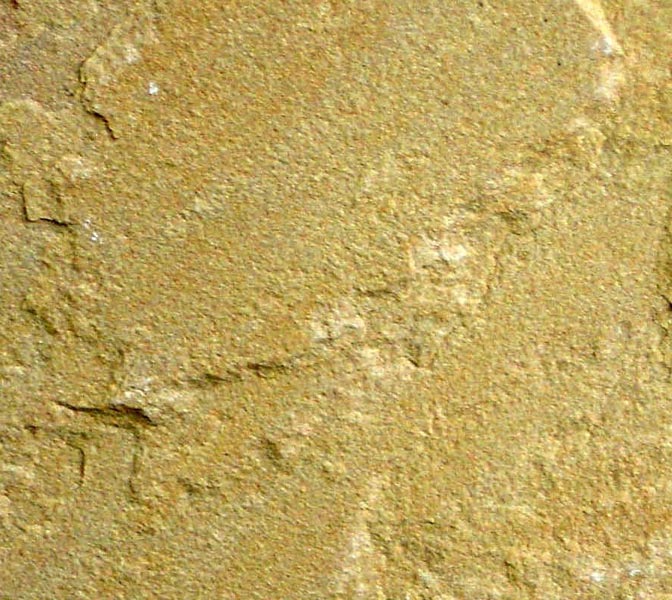 Katni Yellow Sandstone