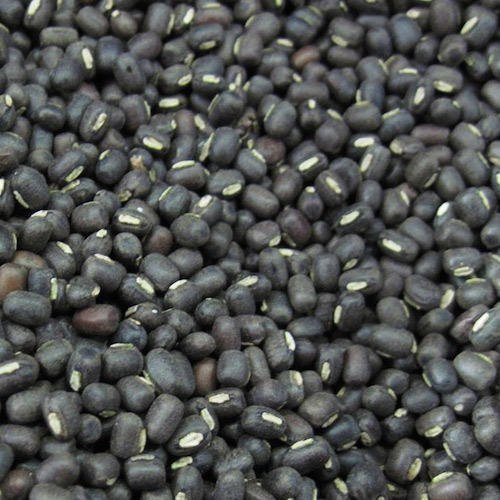 Natural Black Gram Sabut, for Cooking, Style : Dried