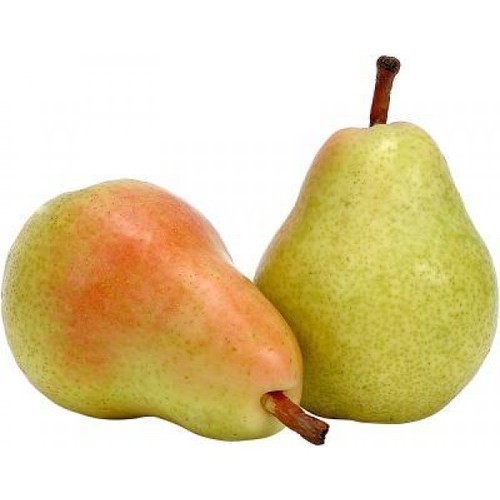 Organic Fresh Pear, Packaging Type : Gunny Bags