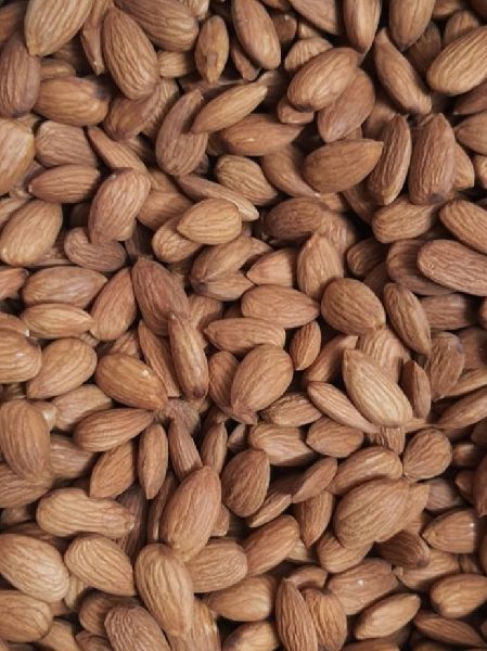 Oval Hard Common California Almond, for Sweets, Style : Dried