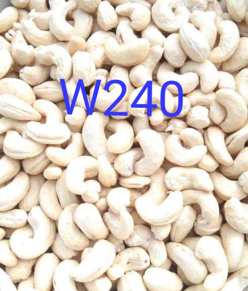 Cashew Nut W-240