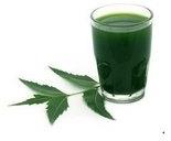 Neem Patra Juice