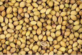 Organic Coriander, for Agriculture, Cooking, Form : Seeds