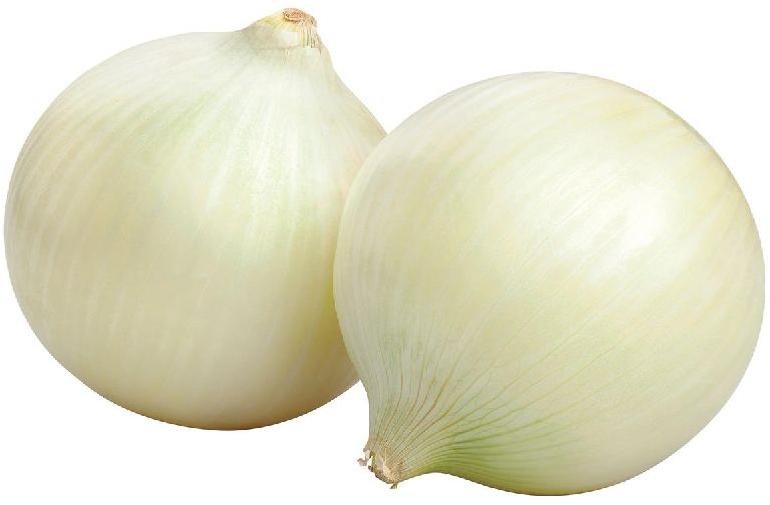 Oval Organic Fresh White Onion, Style : Natural