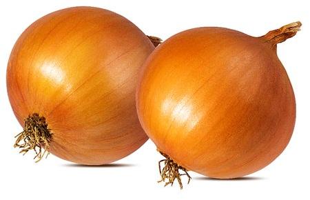 Organic Fresh Yellow Onion, Packaging Size : 10kg, 25kg