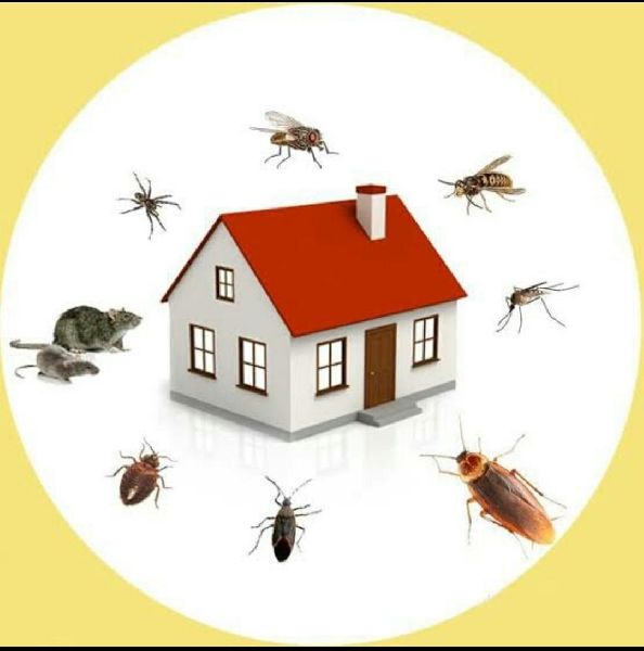 General Pest Control Services