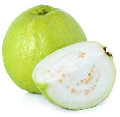 White Guava, Packaging Type : Packed in good quality boxes