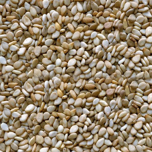 Organic sesame seeds, for Making Oil, Purity : 99%