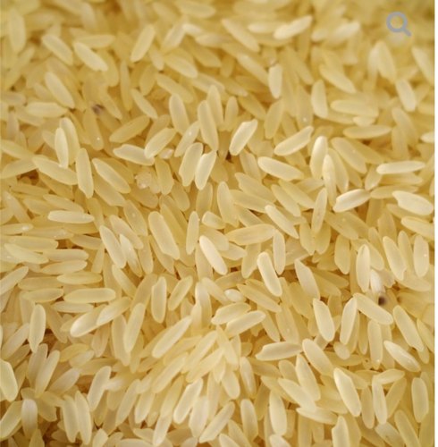 Soft Organic Sharbati Non Basmati rice, for High In Protein, Variety : Long Grain, Medium Grain, Short Grain