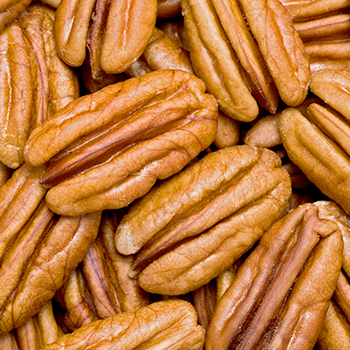 Grade A Quality Pecan Nuts with Best Price
