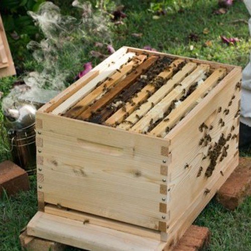 Beekeeping Services